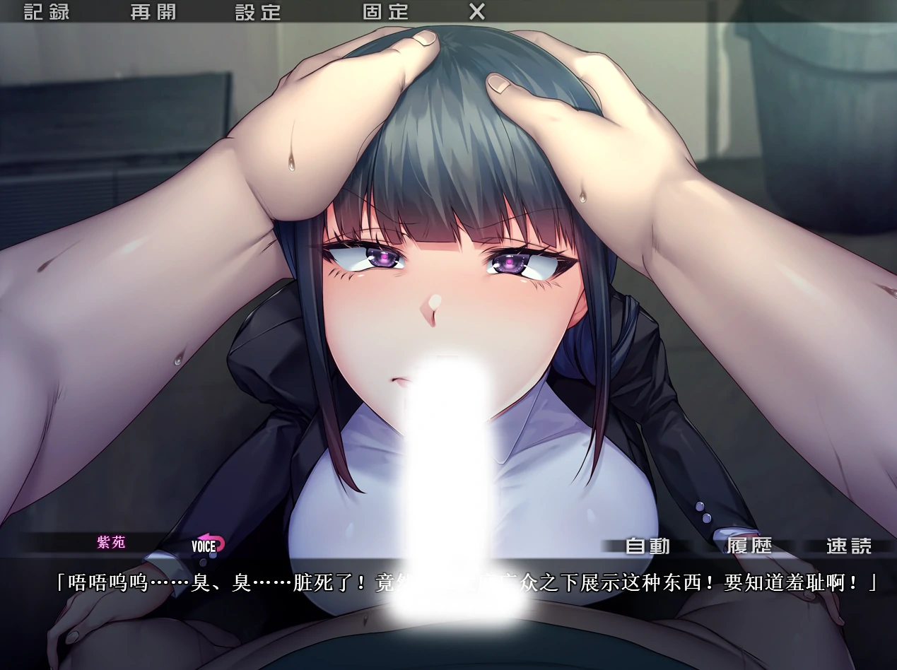 图片[13]-安卓+电脑【ADV+全CV】N隶人妻特工紫苑 Tr模拟器-小强游戏