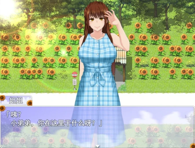 安卓+电脑（RPG/动态/小马拉大车）我秘密的暑假时光2 步 Joi模拟器-小强游戏